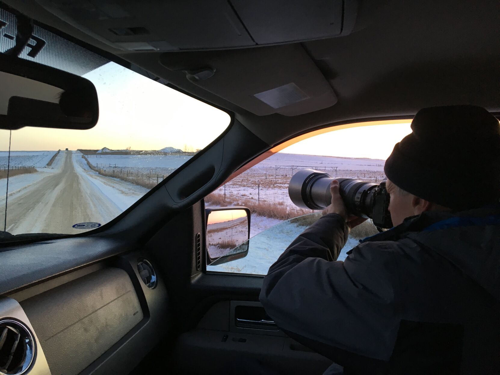 Car-birding_MattReetz.jpg
